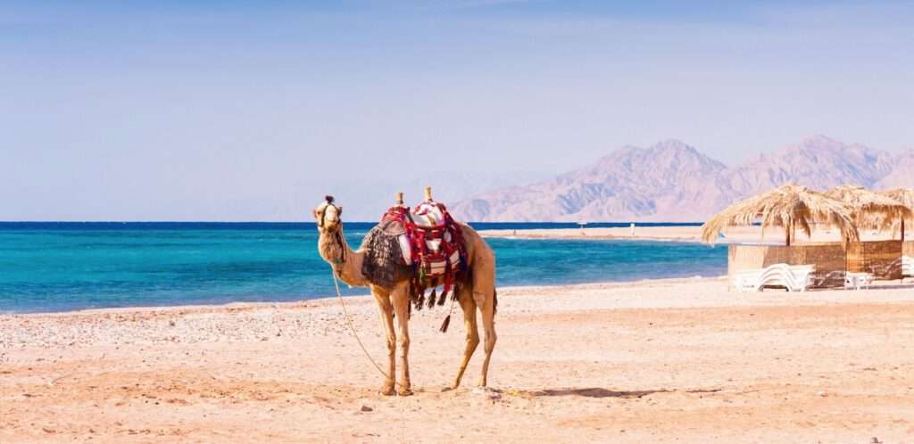 Egypt Yacht CHarter Destination for diving and kitesurfing with YACHT STORY